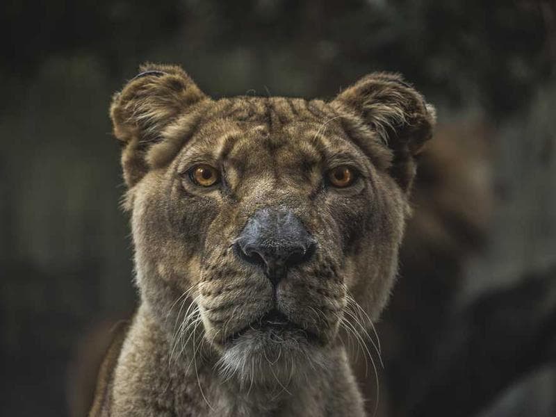 A team of professionals collaborating in a bright, modern office.